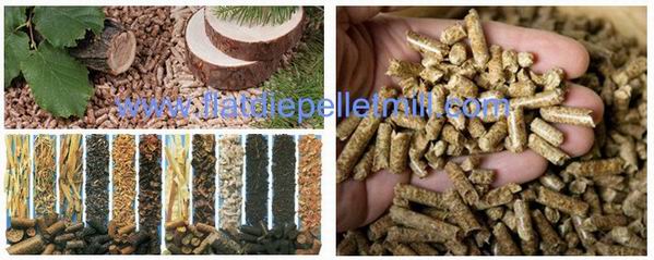 biomass material and wood pellets