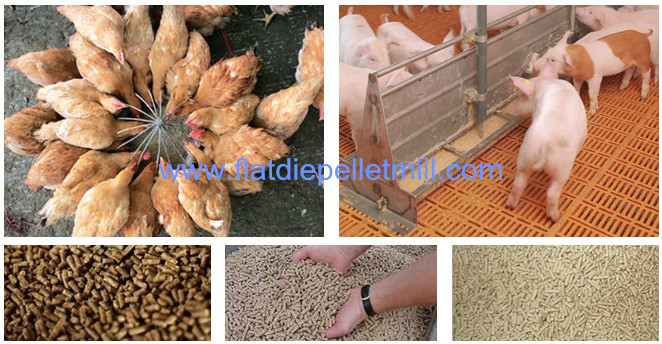 chicken feed pellets and pig feed pellets