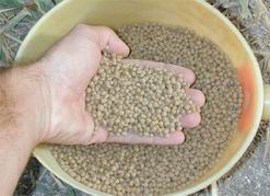 animal feed pellets