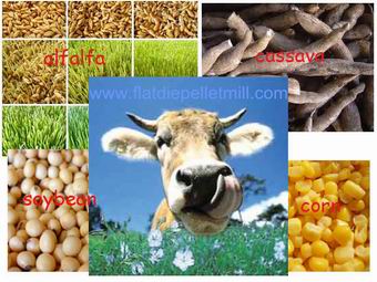feed pellets feedstock