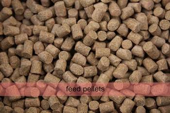 6mm feed pellets