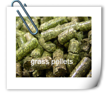 grass pellets