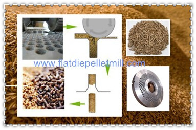 rice husk pellet mill working principle