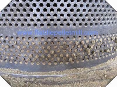 pellet mill ring die