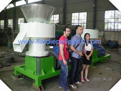 vertical ring die pellet mill factory