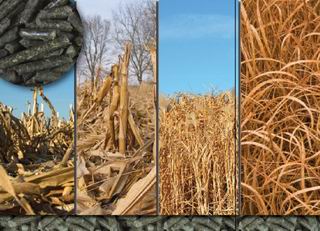 wood pellets feedstock