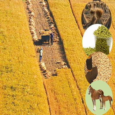 animal bedding pellets