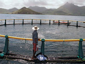 fish_farming